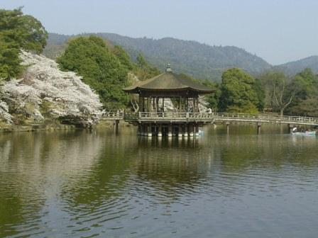 桜　花見　大和の名所